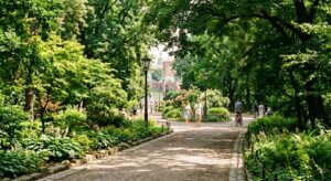 A lush, sun-dappled pathway in Kraków’s Planty Park with vibrant green foliage providing deep shade